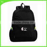 Portable Receive Bag for Ultra Light Backpack With Can be Fold