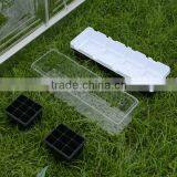 Plastic Propagator With Lids thumbnail-1