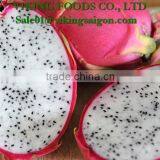 WHITE DRAGON FRUIT _ GOOD QUALITY _ GOOD PRICE thumbnail-2