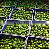 FROZEN SEEDLESS LIME _ HIGHT QUALITY _ GOOD PRICE thumbnail-1