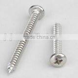 Fasteners Made in China High Quality Hot Sell Chipboard Screw