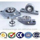 Pillow Block Bearing Installation thumbnail-1