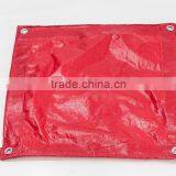 pe Tarpaulin Any Color &100% New Materials PE Tarpaulin thumbnail-5