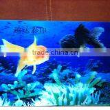 UV Digital Flatbed Universal Inkjet Printers for Lenticular 3D thumbnail-1