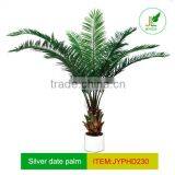 Short Trunk Date Palm Tree Artificial for Indoor Decor