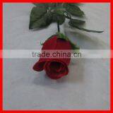 Lover Single Red Rose Flower