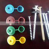 Galvanized Screw With Cap 7*110MM Nail Bulk Packing 500 Pcs /ctn Nails Bright Trade Ssurance Sinolink thumbnail-1