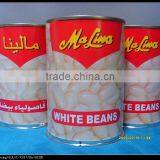 Price for High Quality Canned White Kidney Beans thumbnail-1
