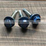 Hex Head Self Drilling Screw With Color Head for Roof thumbnail-4