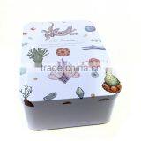 Eco-friendly Mobile Phone Tin Box, Mobile Phone Accessories