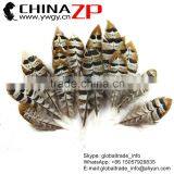 CHINAZP Bulk Sale Selected Prime Quality Natural 5-10cm Size Reeves Venery Pheasant Feathers for DIY Decorations thumbnail-1