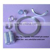 Big Ring Neodymium Coated Speaker Magnet