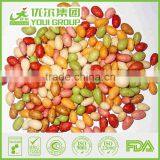 Colorful Sunflower Seed Kernels Snacks thumbnail-1