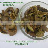 Terminalia Chebula / Harrad / Black Himej thumbnail-5