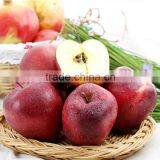 Fresh Red Delicious Apple Chinese Fruit Fresh Apple thumbnail-2