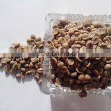 Arabica Typica Green Coffee Beans