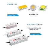 Good Price IP65 LED Street Light With UL Approval From China Manufacturer thumbnail-3