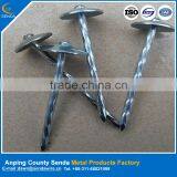 Low Price Polished Umbrella Head Roofing Nails /galvanized Surface Treatment Nails thumbnail-2