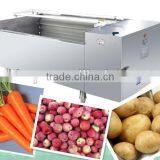 Automatic Vegetable Washer Machine Supplier From Factory