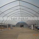 RoughBrothers Galvanized Steel Frame Agricultural Tunnel Greenhouse thumbnail-4