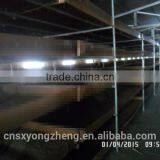 Natural Balance Pet Food Supplies Mealworms thumbnail-6