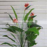 CHY030955 Artificial Bird Of Paradise plant /Landscaping Bosai plant tree/high initation Bird Of Paradise