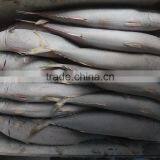 New Fish Frozen WR Pacific Mackerel Seafood thumbnail-2