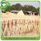 Dome End Eucalyptus Natural Round Wood Poles Handles Sticks thumbnail-6