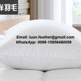 High Quality China Factory Wholesale Made in China Superior Quality Feather and Down Pillow Inserts thumbnail-5