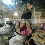 High Quality Natural Rose Oils/Indian Rose thumbnail-3