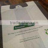 biodegradable and compostable PLA plastic bag