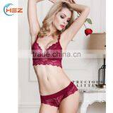 HSZ-G18964 Stylish Woman Push Up 32 Size Bra Set Ladies Underwear Sexy Panty New Style Japanese Mature Women Lace Lingerie thumbnail-3