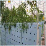 Hydroponic Vegetables Eco-friendly Use Breathable Healthy Seeding Planting Foam