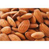 Best Quality Almond Nuts