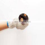 Genuine and New Common Rail Injector 0445120218 for Diesel Engine thumbnail-4