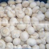 cooking white mushroom with factory price