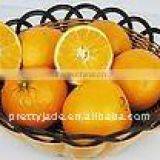 Sell 2014 Fresh Navel Orange thumbnail-1
