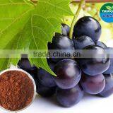Pure Natural Grape Skin Extract/ Anthocyanin, Polyphenols enocolor
