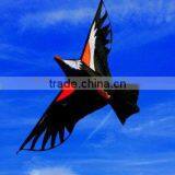 Chinese Traditioanl Eagle Kite