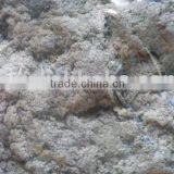 Universal Absorbent Loose Pulp