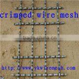 Crimped Wire Mesh