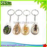 Real Insects Key Ring, Animial Specimen Sample Key Ring , Butterflies, Sea Life Amber Fashion Jewelry Key Ring thumbnail-4