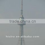 China Brand Steel Lattice Tower (angular tower, tubular tower)