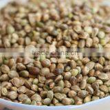 Best Price Hempseeds