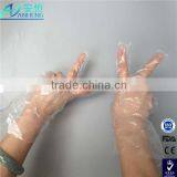 Food Service Gloves Food Prep Gloves thumbnail-3