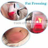 Hot Sale in South Africa Body Slimming Fat Freezing Machine for Sale thumbnail-3