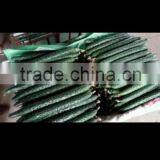 Fresh Cucumber thumbnail-3