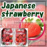 Popular and High quality strawberry puree FRESH FRUIT made in Japan
