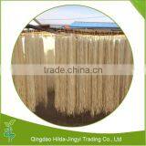 2016 Hot Selling Dried Kanpyo Dry Kanpyo thumbnail-3