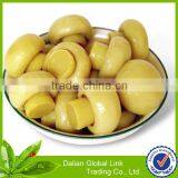 Chinese Canned King Oyster Mushroom thumbnail-5